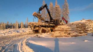 Tigercat 1075B forwarder unloading [upl. by Shirk980]