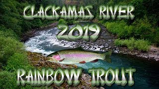 Clackamas River Trout Fishing In Estacada Oregon [upl. by Ased]