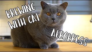 Brewing With Cat  AeroPress [upl. by Amled]