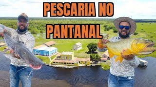 Pantanal saiu pacu demais [upl. by Airdnal631]