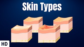 Skin Types Everything You Need To Know [upl. by Noit569]