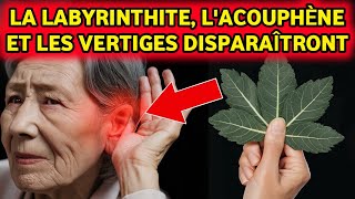 Plante 1 Remède miracle pour la labyrinthite et les acouphènes  À voir absolument [upl. by Eltotsira10]