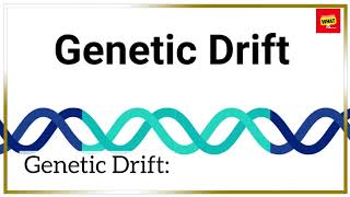 What is Genetic Variation and How Does it Impact Evolutionary Processes [upl. by Ajin]