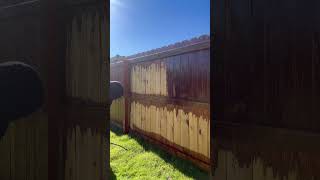 Staining a fence with a pump sprayer fencecartel fencelife [upl. by Mashe]