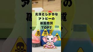 見落としがちなアトピーの原因物質TOP7 東洋医学 健康 体質改善 shorts [upl. by Cornie]