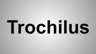 How To Pronounce Trochilus [upl. by Drannek]