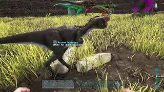 ARK  How To Use The Oviraptor amp Lystrosaurus To HELP Your Dinos Level Up Faster [upl. by Giaimo711]