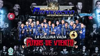 Banda Renovacion  La Gallina Vada En Vivo 2016 [upl. by Iteerp833]