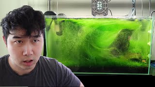 these fish tank ideas are NEXT LEVEL  Fish Tank Review 263 [upl. by Nabalas]