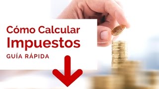 Como Calcular Impuestos Para Importar  Guia Rapida [upl. by Gastineau]