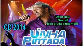 Unha Pintada Show CD 2014 Completo [upl. by Hailey716]