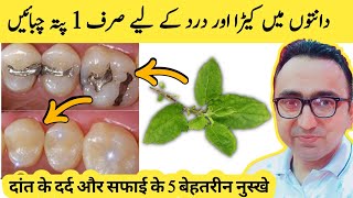 5 Most Effective Remedies For Toothache And Dental Cavities [upl. by Eytak]