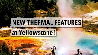 NEW THERMAL FEATURES at Yellowstone Yellowstone Volcano Update July 2023 [upl. by River262]