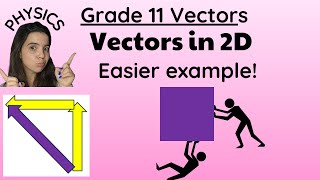 Grade 11 Vectors in two dimensions practice question Physics [upl. by Salba]