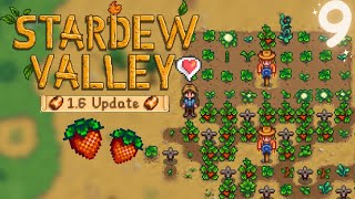 Stardew Valley 16 ♡ Relaxing Longplay no commentary 9 [upl. by Saunderson]