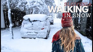 HEAVY SCENIC SNOWFALL 4K WALKING TOUR IN LJUBLJANA SLOVENIA SNOW ASMR [upl. by Yllil]