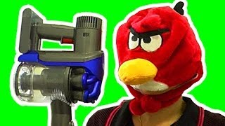 How To Kill A Cockroach Vs Dyson DC35 Stick Vacuum Angry Birds Dont Ever Mess With Them [upl. by Ybrad]