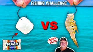 Shrimp vs Marshmallow CATFISHING Challenge GAME WARDEN Catch Clean Cook [upl. by Eniarral]