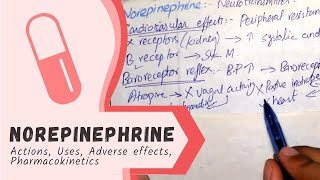 NOREPINEPHRINE  Actions Uses Pharmacokinetics adverse effects PHARMACOLOGY [upl. by Alleuqram615]