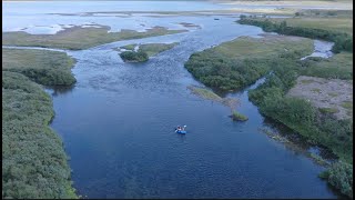 Saving Norways Endangered Atlantic Salmon [upl. by Myers965]