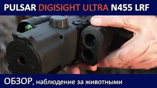 Pulsar Digisight Ultra N455 LRF Обзор наблюдение за животными [upl. by Oirasec]