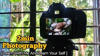 Day 3 window Bird Photography  Use My Nikon D5300 amp 70300mm Lens  birdphotography photography [upl. by Nadabas258]