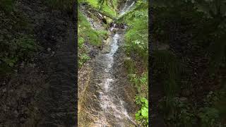 Waterfall in Schwangau Germany germany waterfall bavaria neuschwanstein neuschwansteincastle [upl. by Flower]