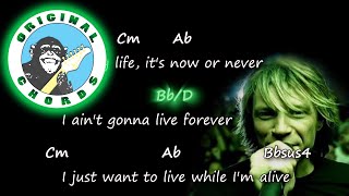 Bon Jovi  Its My Life  Chords amp Lyrics [upl. by Anividul]