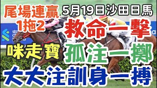 賽馬貼士5月19日星期日沙田日馬，大大注訓身一搏，救命一擊，孤注一擲，咪走寶，尾場連贏1拖2，多謝支持訂閱。 [upl. by Ricardo]