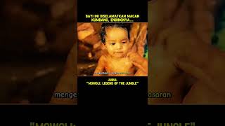 BAYI INI DISELAMATKAN MACAN KUMBANG ENDINGNYA shorts alurceritafilm cuplikanfilm [upl. by Fia]