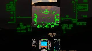 Weird glitch while landing at Jacksonville FL  Microsoft Flight Simulator 2020 jacksonville 737 [upl. by Bastian468]