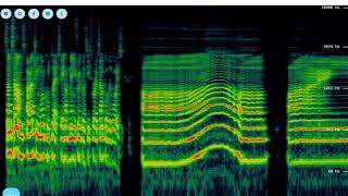 Spectrogram tutorial [upl. by Hanna724]