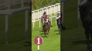 Kyprios Is Dominant In His Second G1 Goodwood Cup Win QGF [upl. by Itsim163]