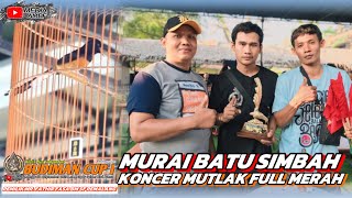 AKSI MURAI BATU SIMBAH KONCER MUTLAK FULL MERAH DI BUDIMAN CUP I PEMILIK MR FATHIR FASA BM SF PMLG [upl. by Lilia]