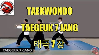 TAEKWONDO Form Taegeuk Chil 7 Jang  High Brown  Red Belts [upl. by Byrne]