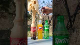 Mentos Blast Which drink makes the tallest fountain experiment [upl. by Ecarret]