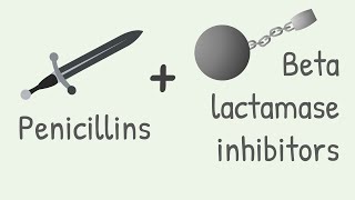 Penicillin with Beta lactamase inhibitors [upl. by Douville]