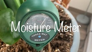 How to use a moisture meter [upl. by Steffie261]