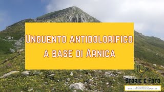 53  Infuso alcolico a base di arnica  Antidolorifico naturale  Nnatural homemade pain reliever [upl. by Ataga]