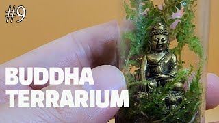 9 Buddha Terrarium  Nano Terrarium  Moss Terrarium [upl. by Ethelin370]