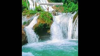 Meghalaya 🇮🇳 khaddumwaterfallshorts waterfall meghalaya meghalayatourismindia [upl. by Strauss]