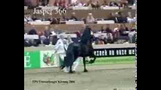 KFPS Hengstenkeuring Friesian Stallion Championship The Winner is [upl. by Atinal835]