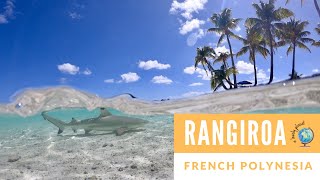 Things to do in Rangiroa French Polynesia [upl. by Ellehsor]