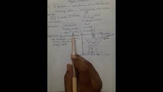 preparation of mdinitrobenzene from nitrobenzene pract13 [upl. by Sadowski]