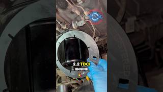 🚗🔧 Ford Transit 22 TDCI Fuel Filter Replacement Made Easy FordTransit CarMaintenance Mechanic [upl. by Anitan]