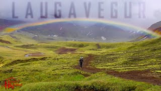 Hiking The Most Famous Trail In Iceland  The Laugavegur [upl. by Lunetta]