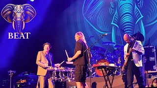 BEAT  Performing 80s King Crimson LIVE in Orlando FL 9272024 [upl. by Corinna]