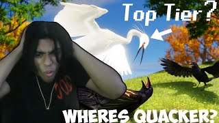 The Best Bird Tier List To EXIST Tier Zoo [upl. by Hashum]