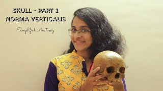 SKULL PART 1  NORMA VERTICALIS  ANATOMY  SIMPLIFIED ✔ [upl. by Matilda]