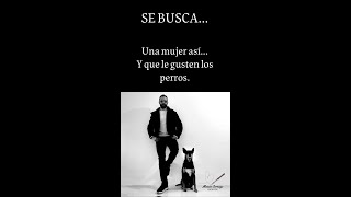 Se busca [upl. by Ava]